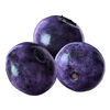 PURPLE Cyber Açai / PD200 (40 Port.)