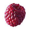 Ruby Red Raspberry / PD200 (40 Port.)