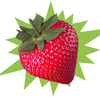 Retro SHOCK Sour Berry